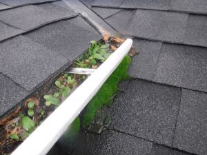 Before Selling Your Home Inspection - Gutter Growth