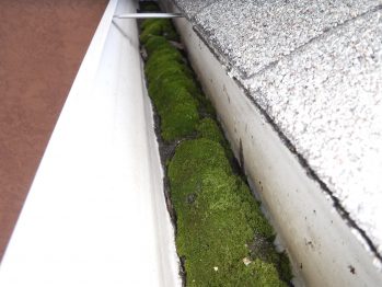Moss In Gutter - Inspection